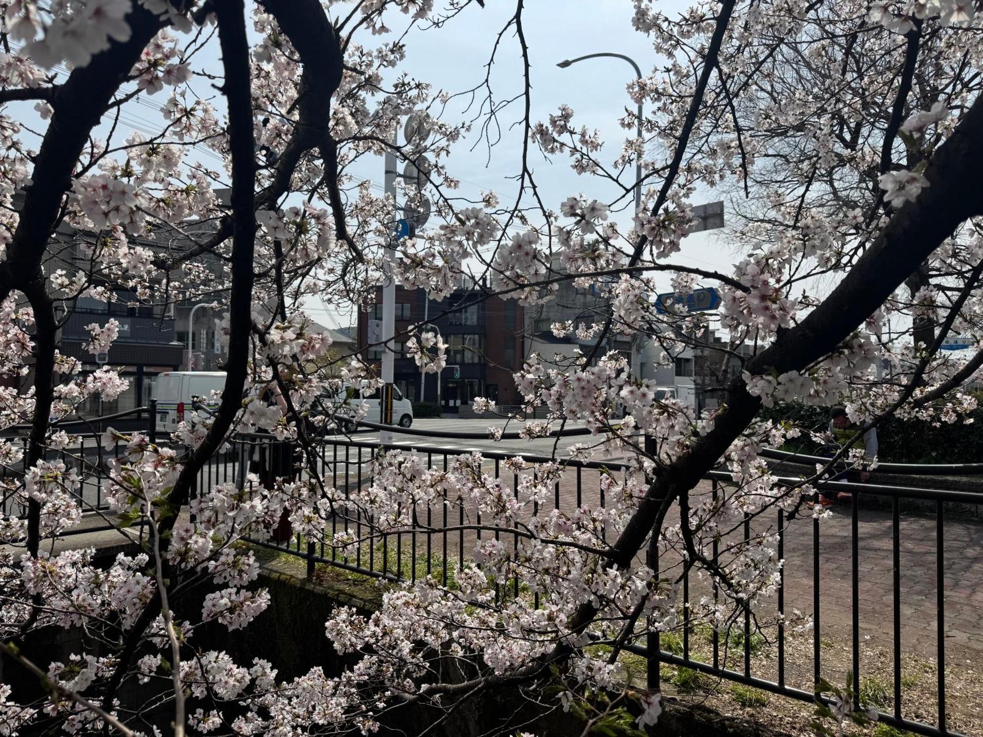 Mont-モン-Kamogawa Stay And Hotel Kyoto Eksteriør bilde